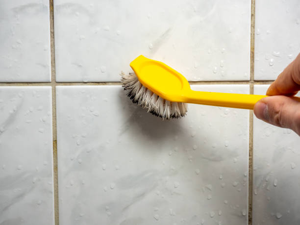 Office Mold Removal Services in Linden, AL