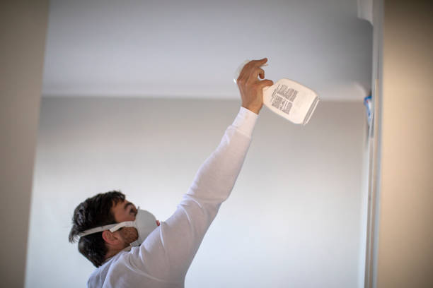 Best Certified Mold Removal  in Linden, AL