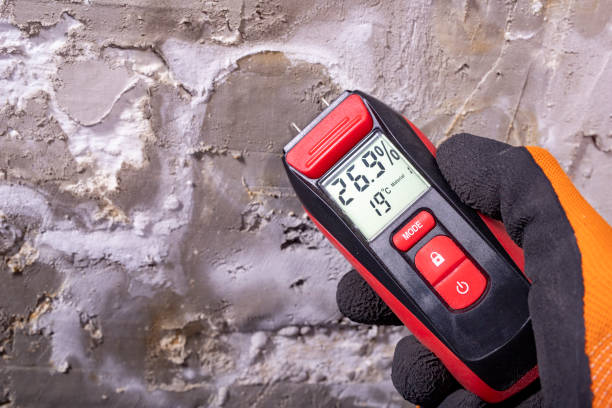Best Affordable Mold Removal  in Linden, AL