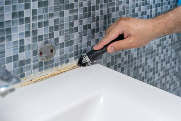 Linden, AL Mold Removal Company