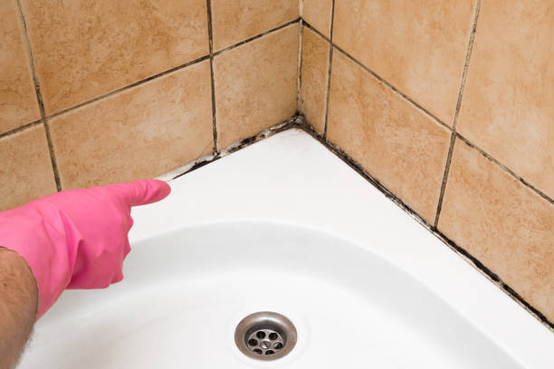 Best Mold Remediation  in Linden, AL